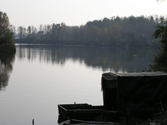 morotva